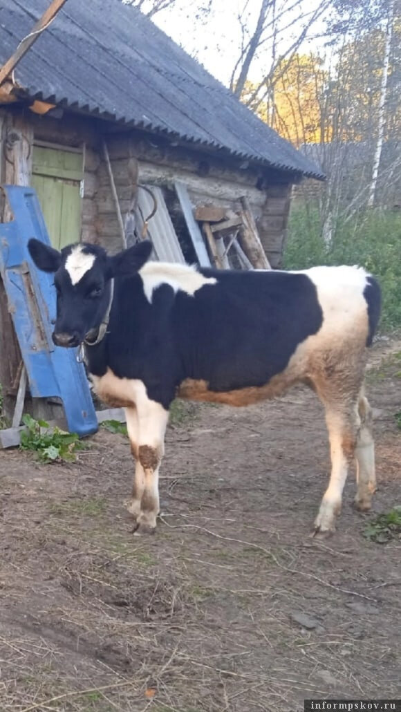 Фото: Анна Лядская