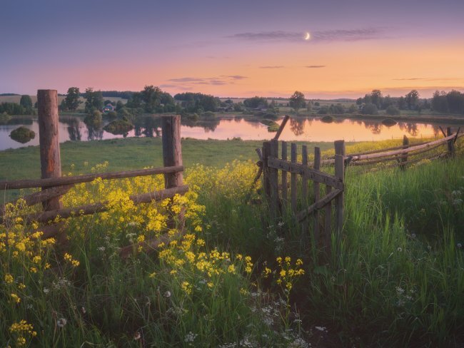 Фото: Дмитрий Медянцев