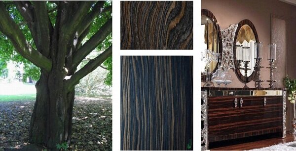 Мебель из черного дерева высоко ценилась во все времена