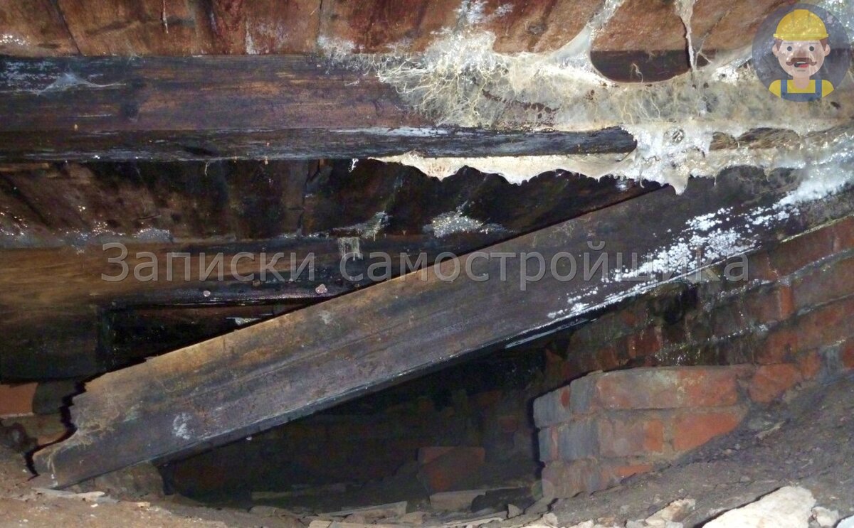 Гниющие без вентиляции балки.