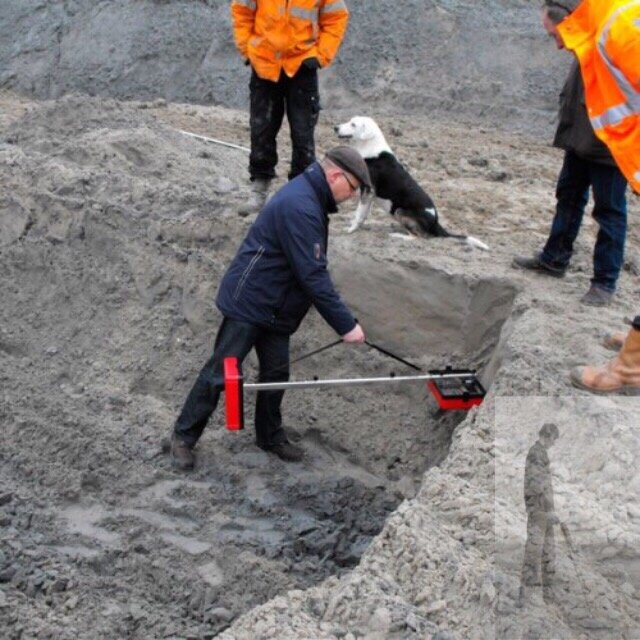 фото взято из интернета