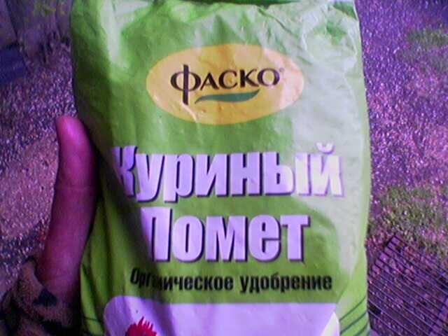 Как подкормить огурцы куриным пометом в теплице