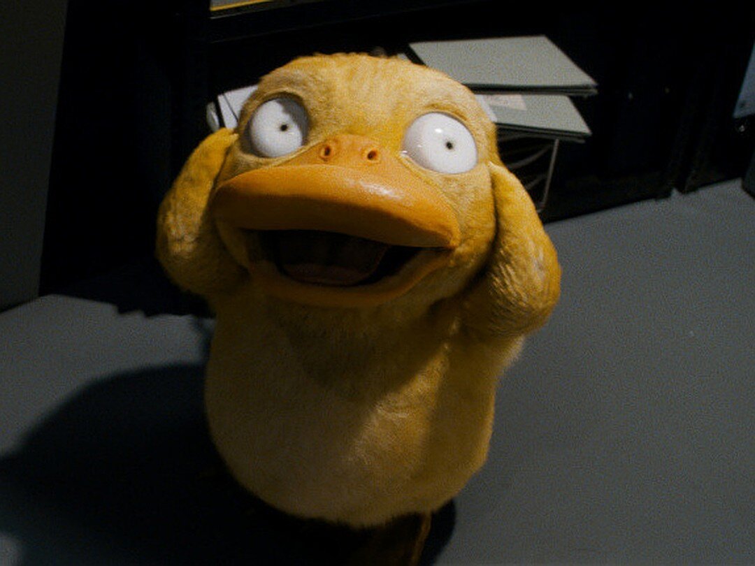 Псайдак определенно одобряет :)