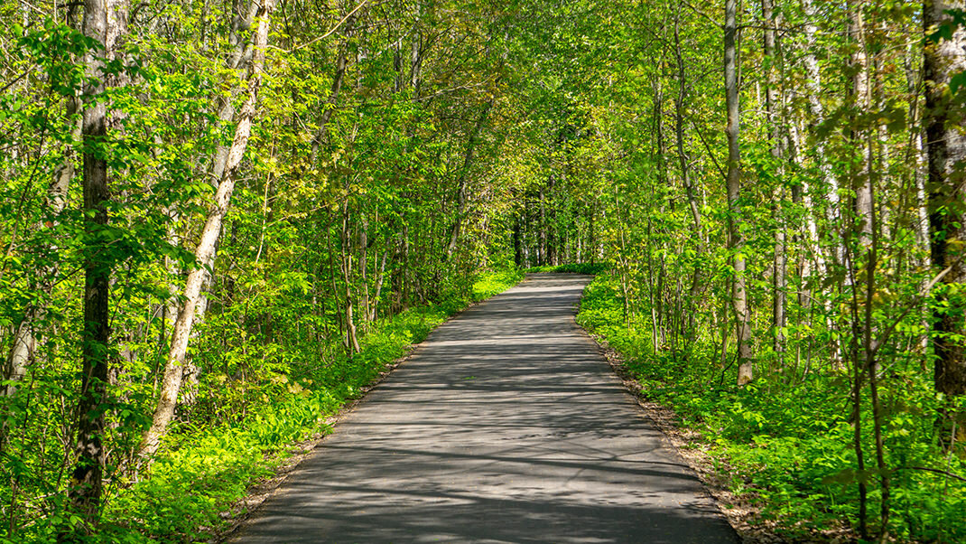 Дорога к «Шалашу»
