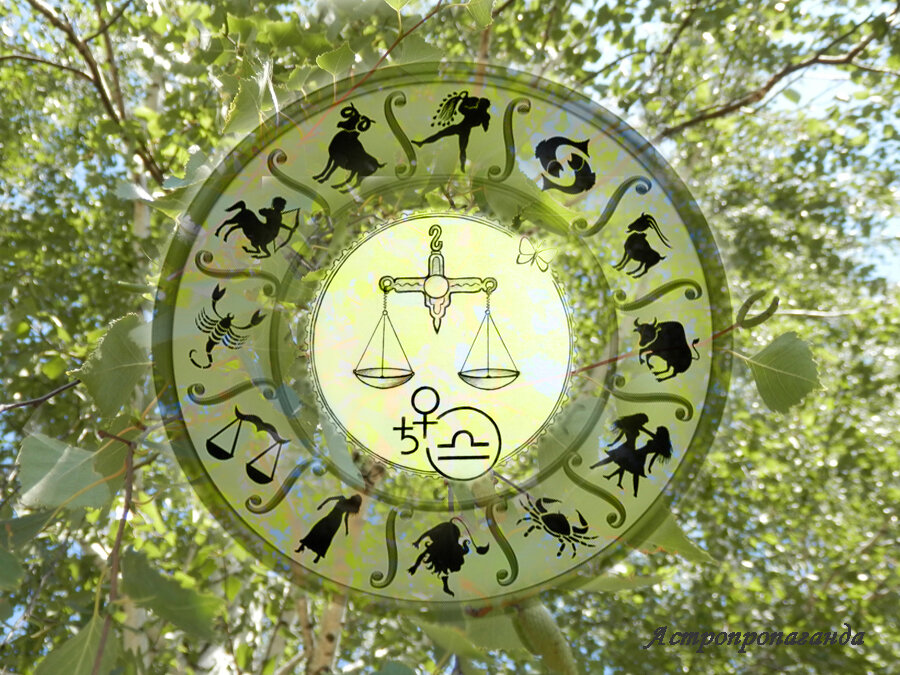 Коллаж Нины Стрелковой.