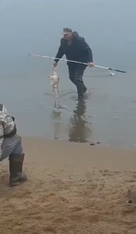 -2