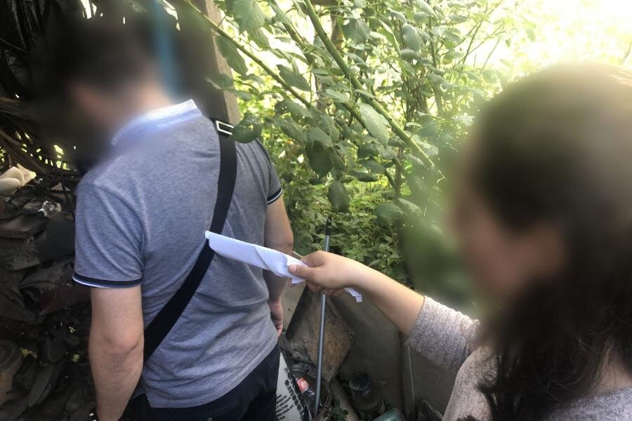  ЮЛИЯ НИКУЛИНА 15 АВГУСТА 2019 / 11:28