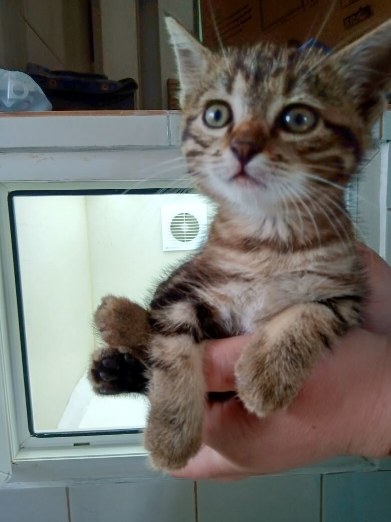 Эта кроха очень нуждалась в  помощи!