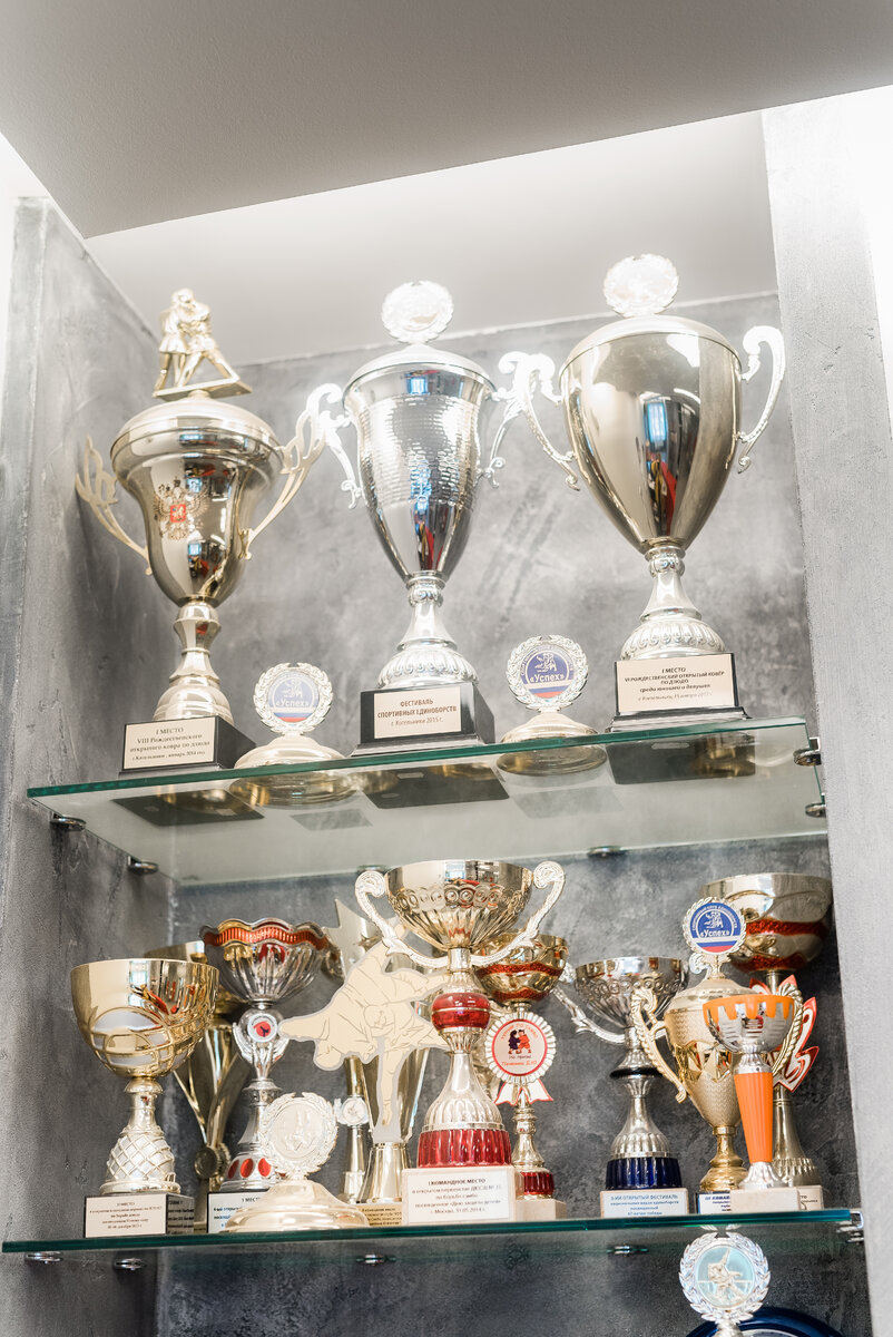 Награды учеников клуба спортивных секций