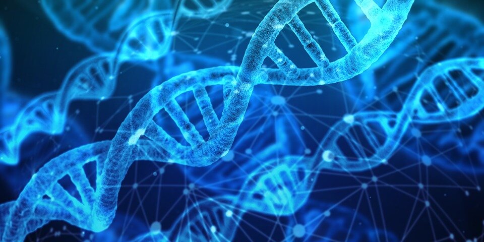 https://cdn.pixabay.com/photo/2018/07/15/10/44/dna-3539309_960_720.jpg