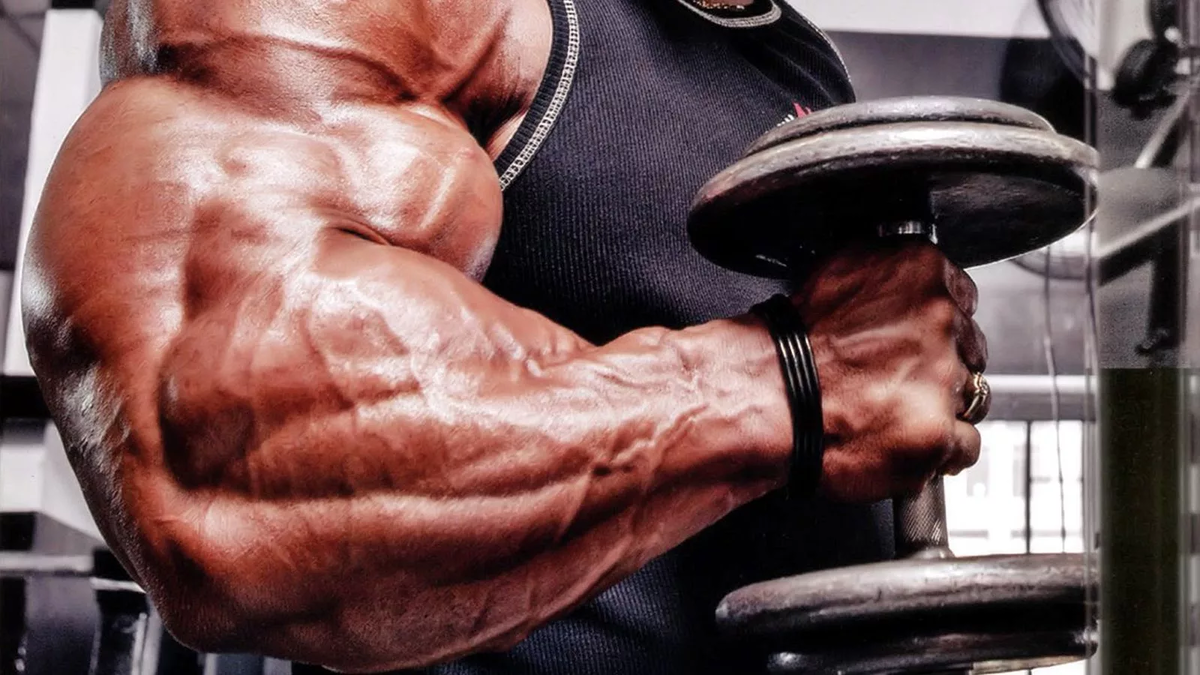 Фотография с сервиса Яндекс Картинки