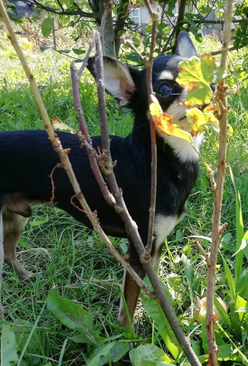 Не любит фотогрфиповаться