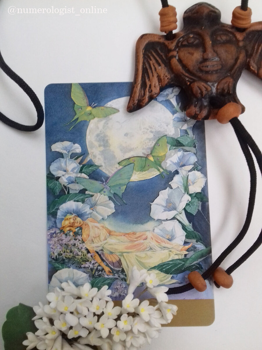 Ночь - ваше время суток, а сны - пища для ума.