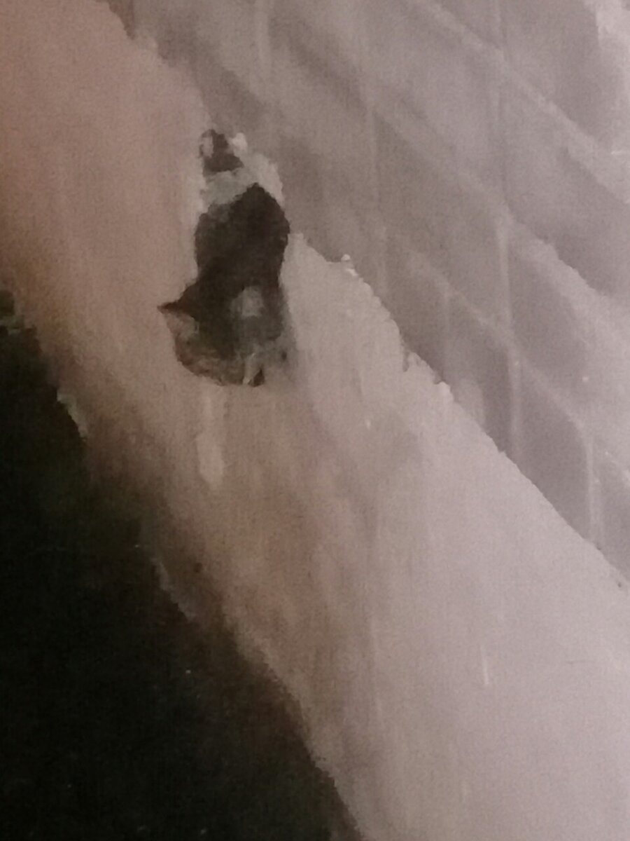 Вот та самая непонятная фотография