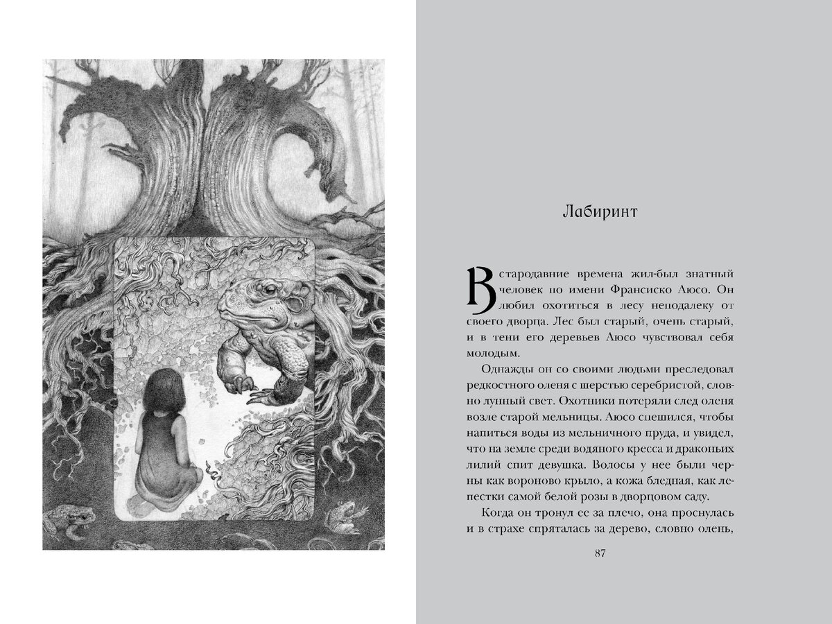 Разворот книги Гильермо дель Торо и Корнелии Функе «Лабиринт Фавна»