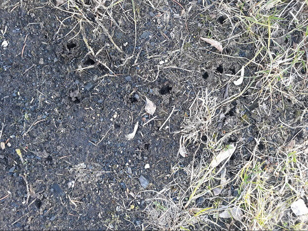 Рига, 8 апреля 2018