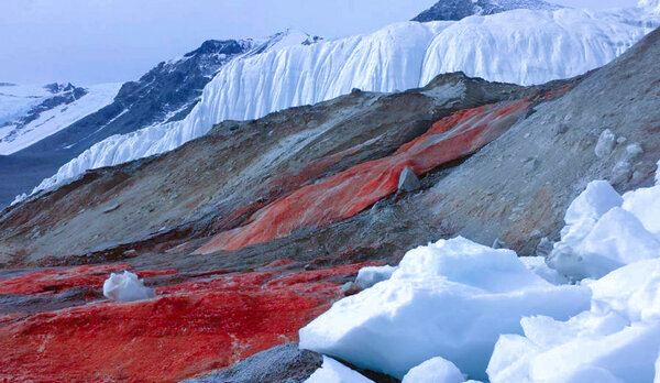 фото взято из Яндекс картинки