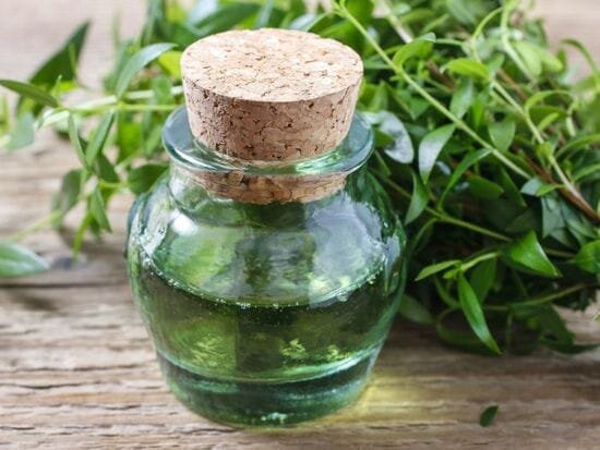 Эфирное масло Мирта поистине чудодейственно. Фото из открытых источников. 