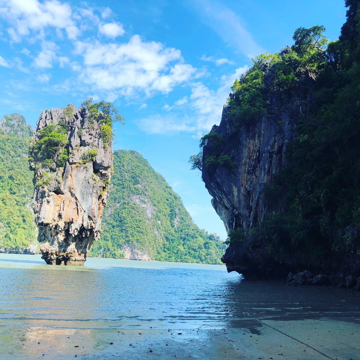 Никита Веселков