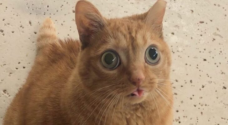 Фотоматериал: https://esquire.kz/wp-content/uploads/2019/11/1200-15.jpg