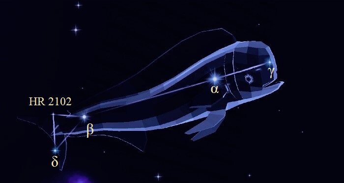 Звёзды созвездия Золотая Рыба