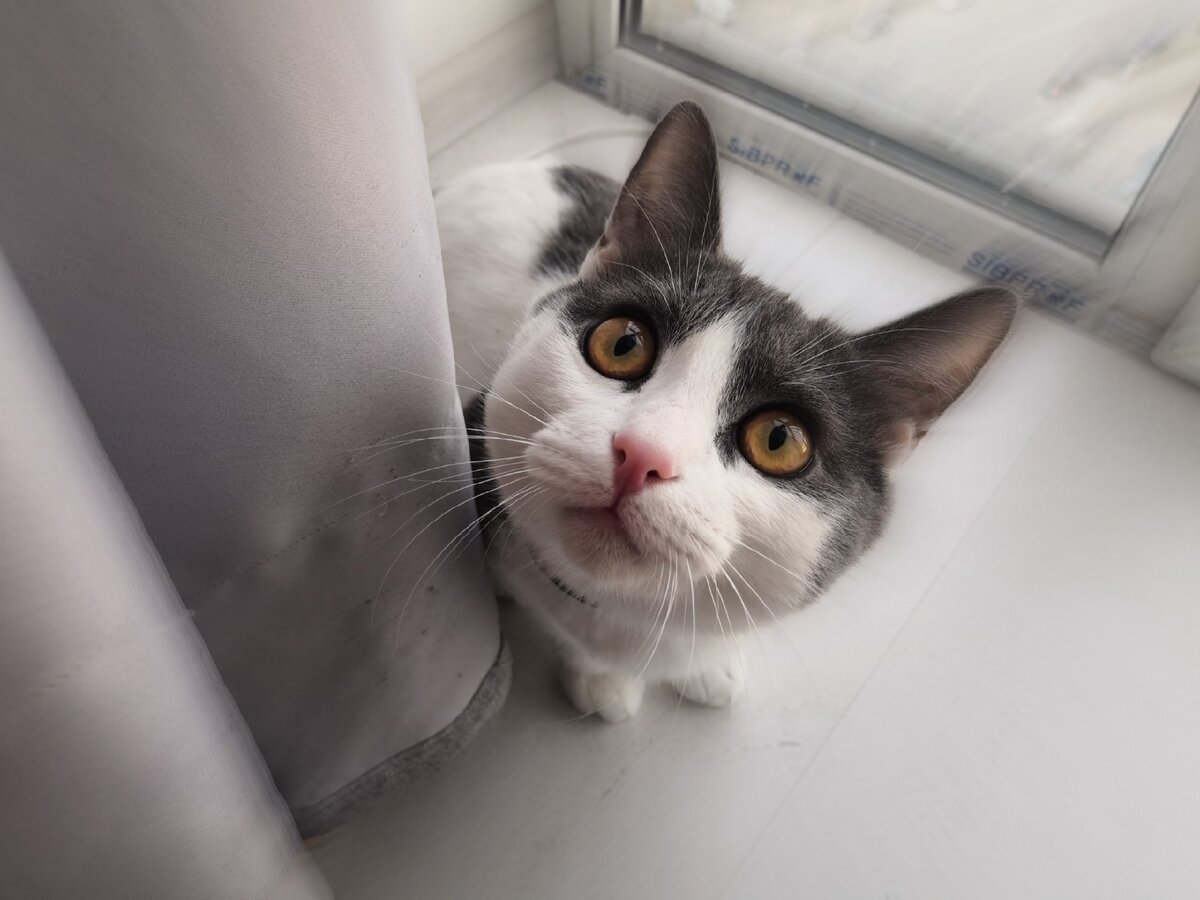 А что я такого сделал?