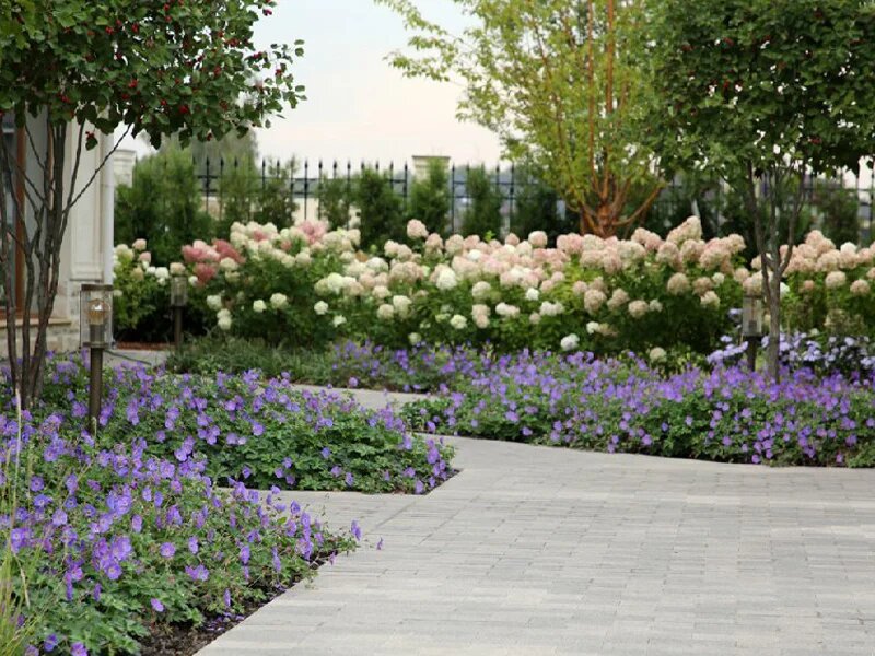 Фото NB-garden