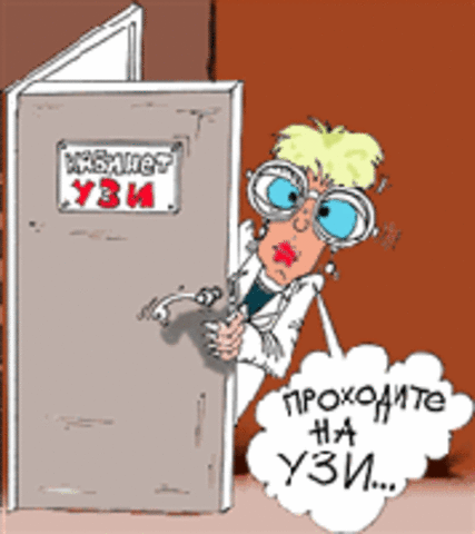 Не прошло и года.