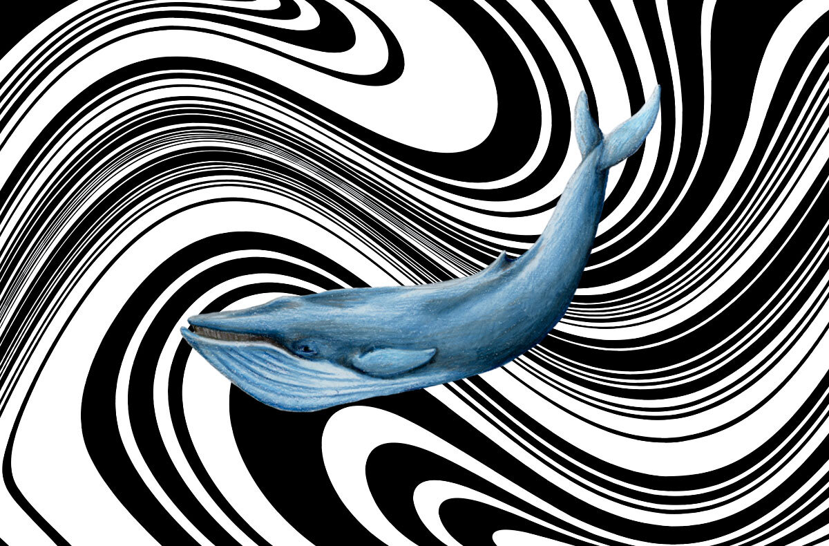Синий кит