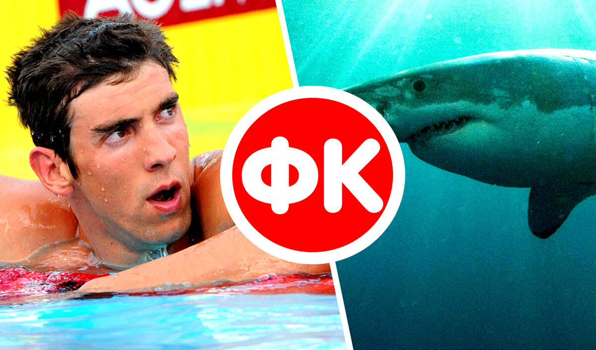 Подпишитесь на канал и поставьте лайк! Вы поможете развитию канала! 