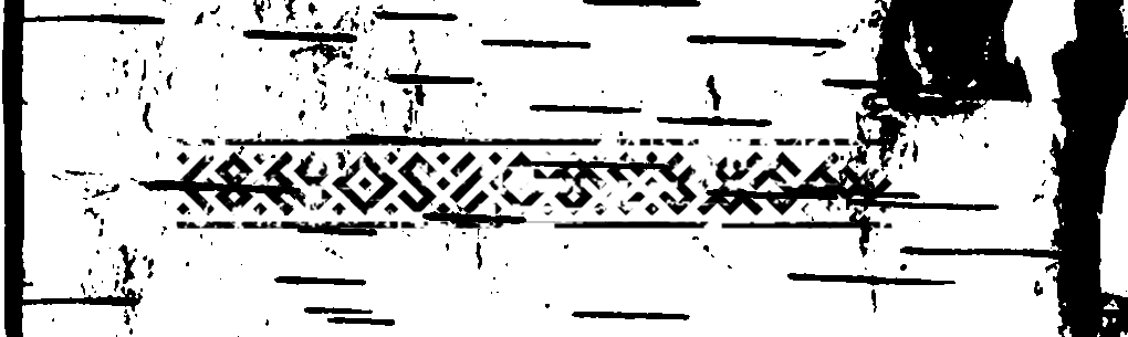 Скан древнерусской берестяной грамоты. Надпись рунами "Сварог — наш отец", VII век н.э.
