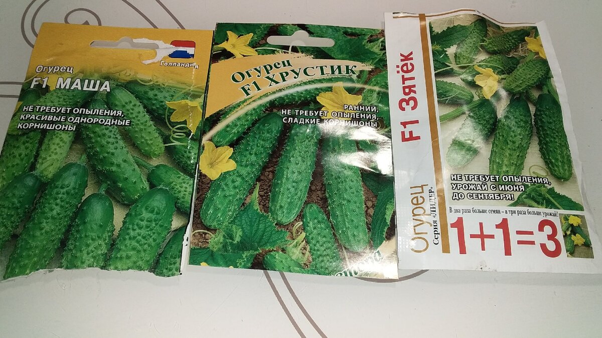 Огурцы кузя отзывы фото описание