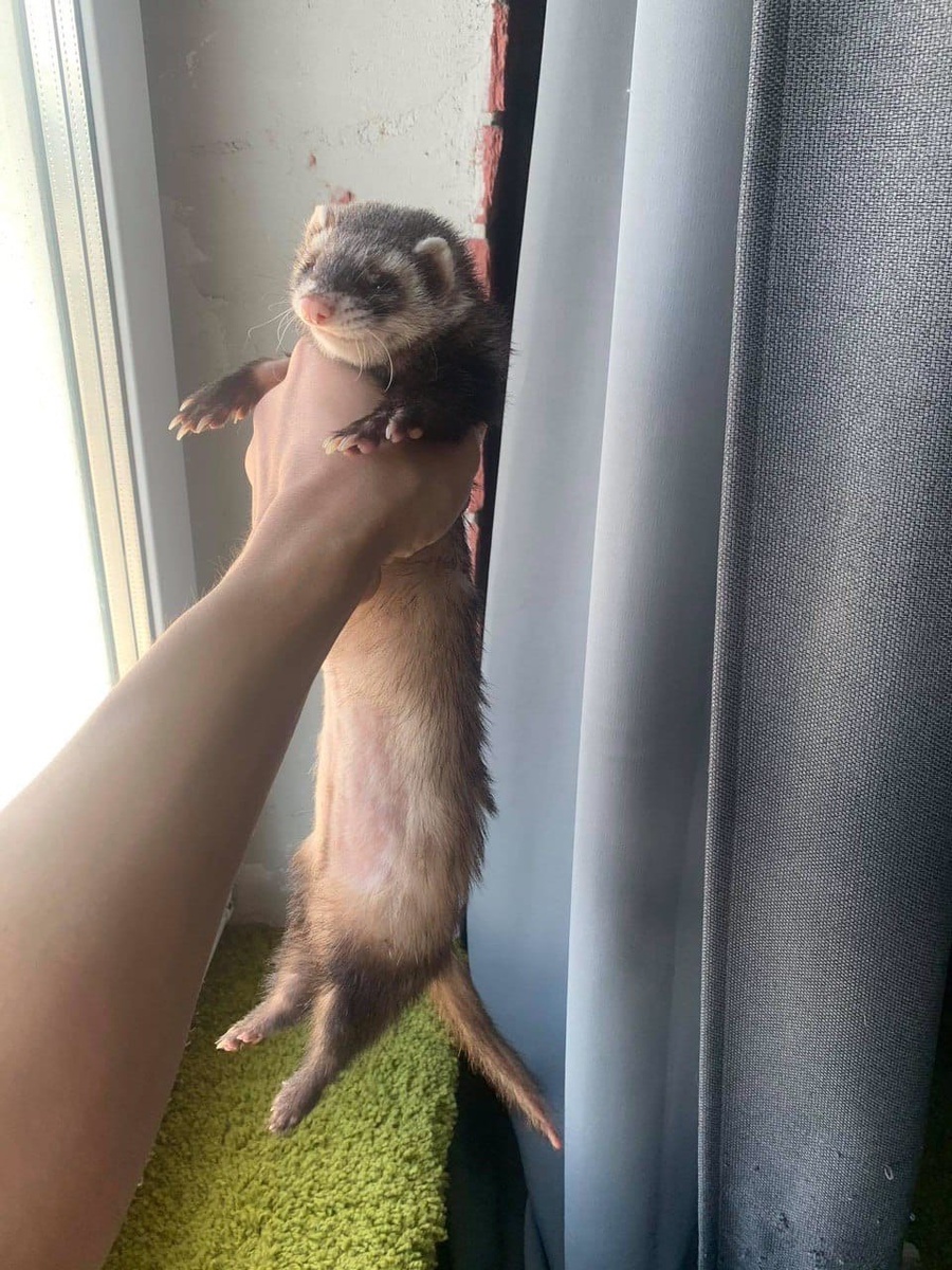 Злобная ухмылка ;))