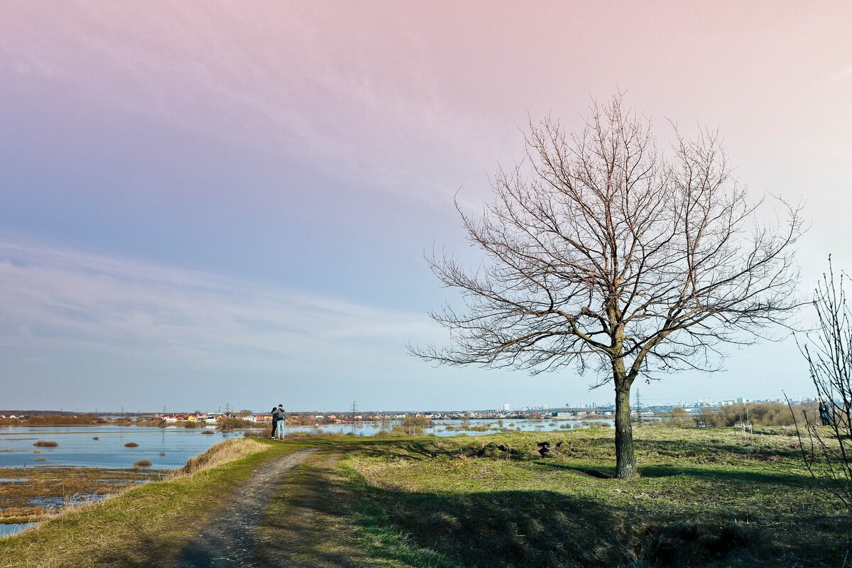 Стихии: Земля, Вода, Воздух