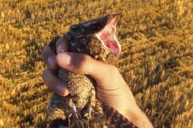 Так вот как на самом деле выглядит работа экзорциста. 