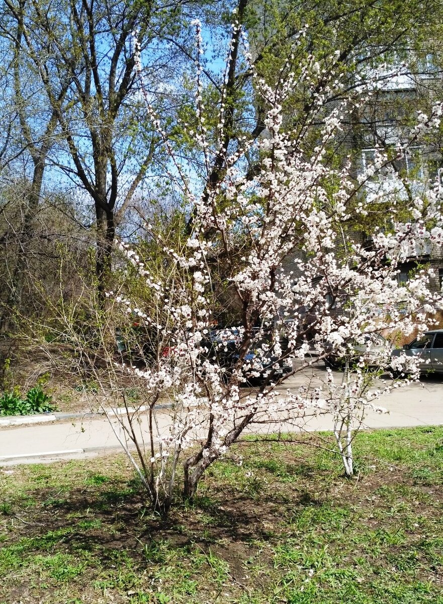 Фото личное