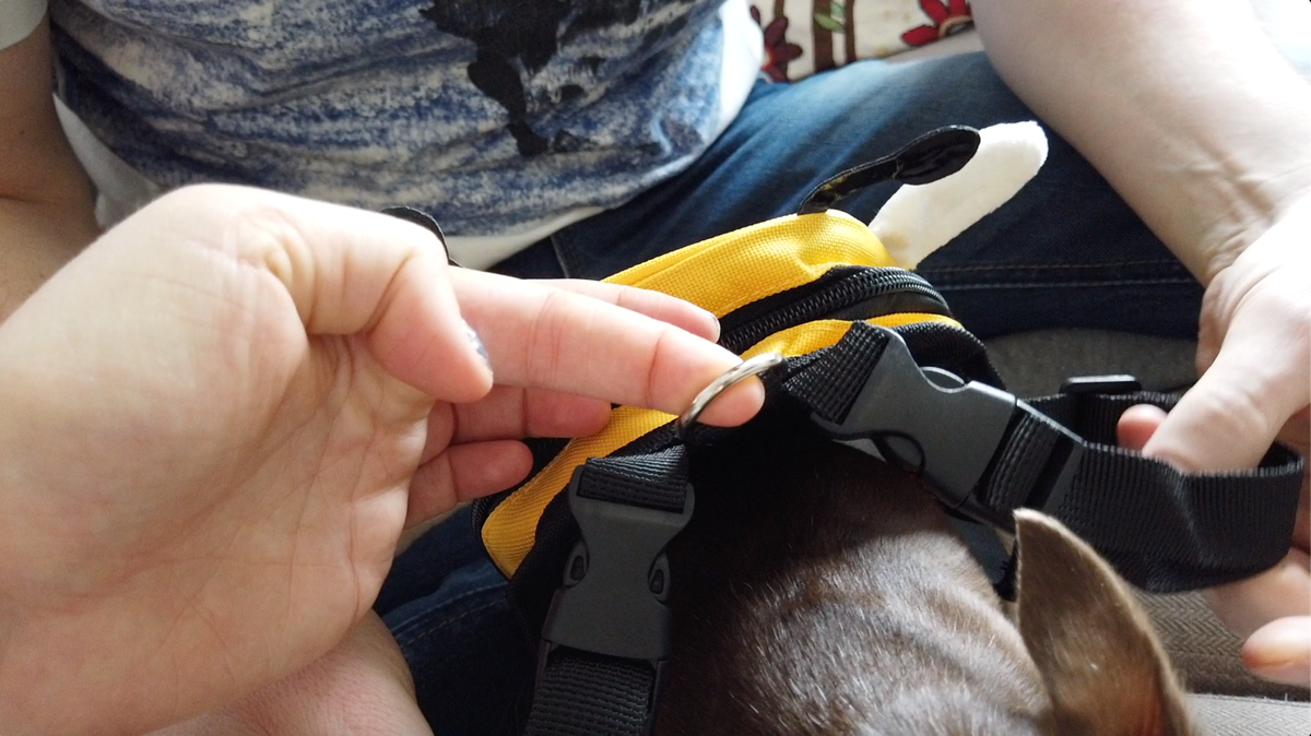 Кольцо всевластия 