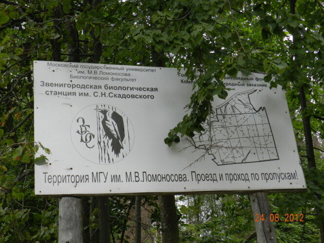 фотография из архива моего партнера mumi-troll.ru