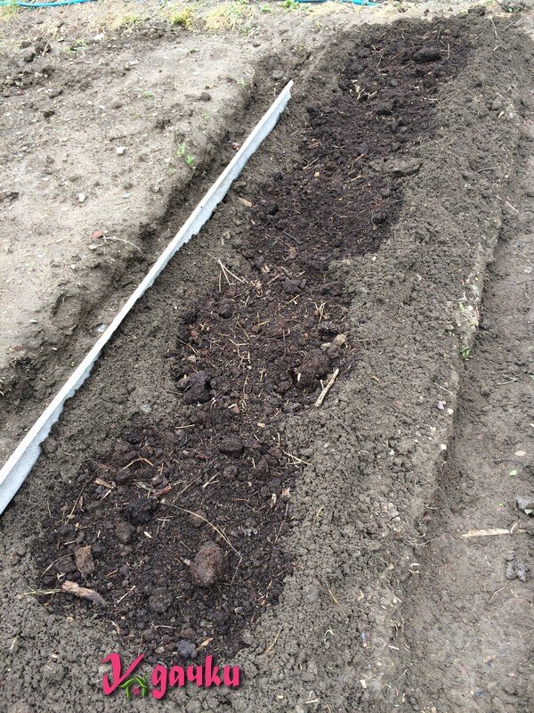 Сбоку у грядки стоит кусок шифера. Я им пользуюсь, пока формирую грядку, чтобы земля не осыпалась.