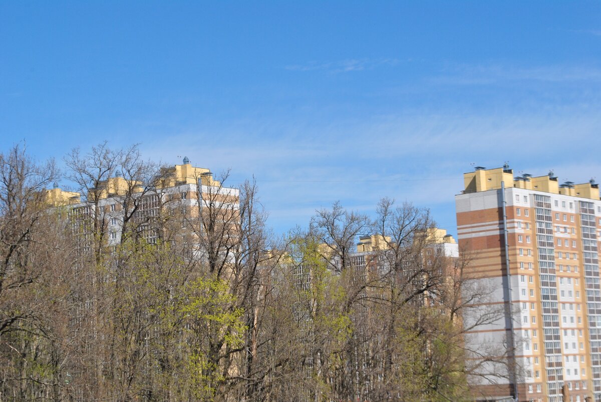 ЖК "Ясная Поляна". Все планировки и цены на сайте yasno21.ru