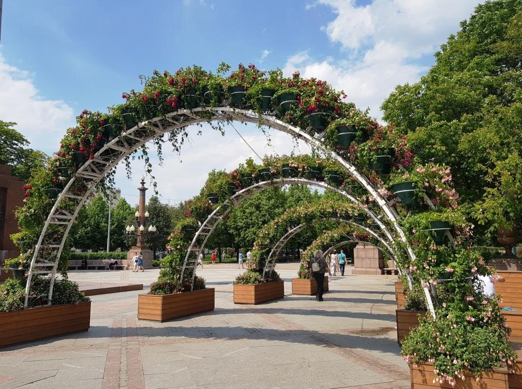 Озеленение Москвы: «Миллион деревьев» и не только