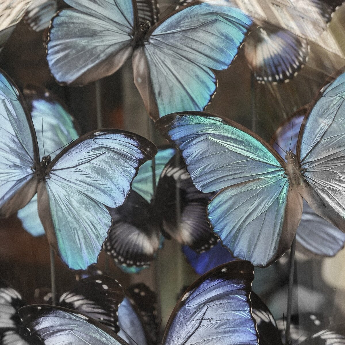 будь причиной чьей-то улыбки. будь причиной, по которой кто-то почувствует себя любимым и поверит в доброту людей