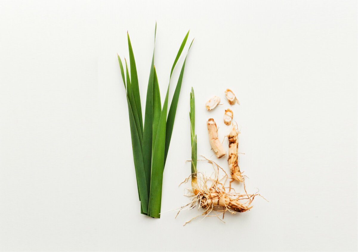 Автор: AGfoto, фото приобретено на сайте www.shutterstock.com