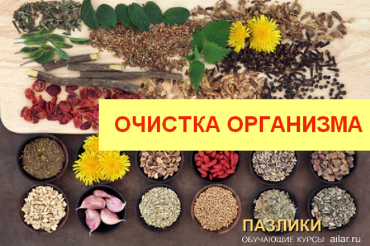 Коллаж Айлар для курса бесплатного раздела "Очистка Организма"