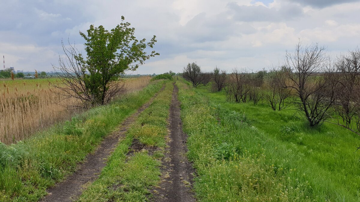 Дорога за щукой