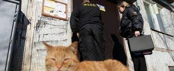 Источник: гугл-картинки.