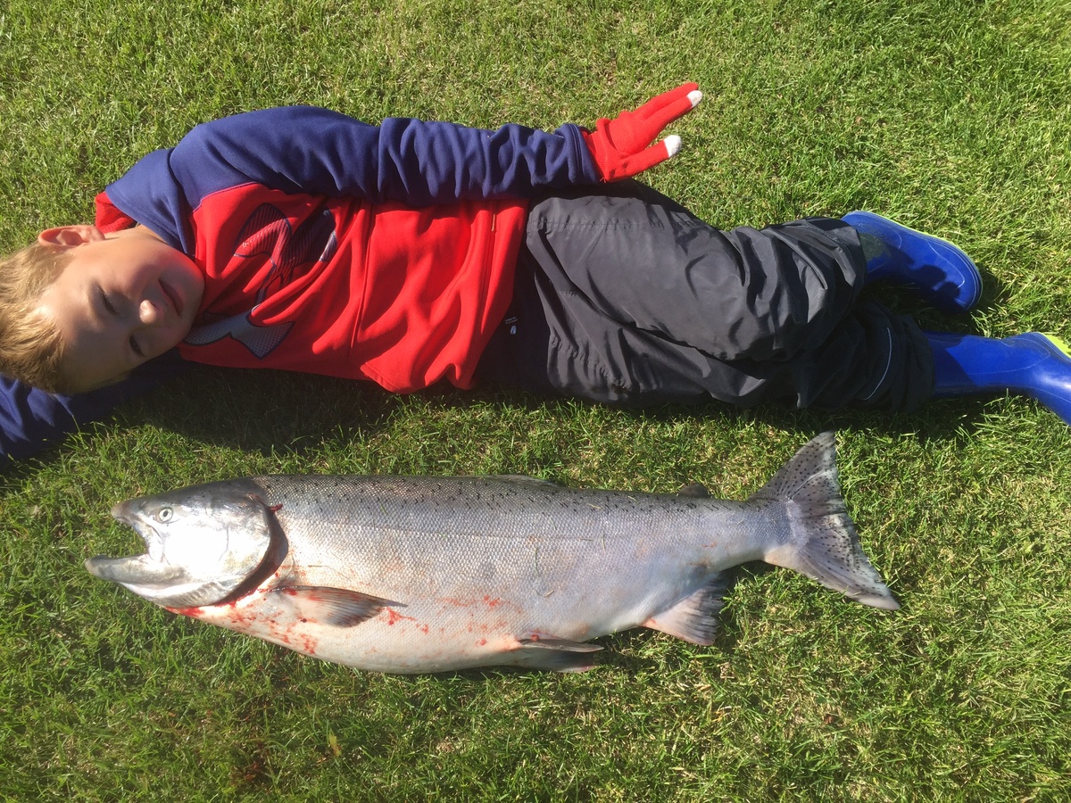Это king salmon,  на вылов такого нужна специальная лицензия, и забрать можно только одну рыбу на одного на человека