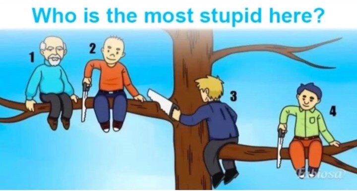 Источник: https://www.newidea.com.au/puzzle-tree-cutters-who-is-stupid