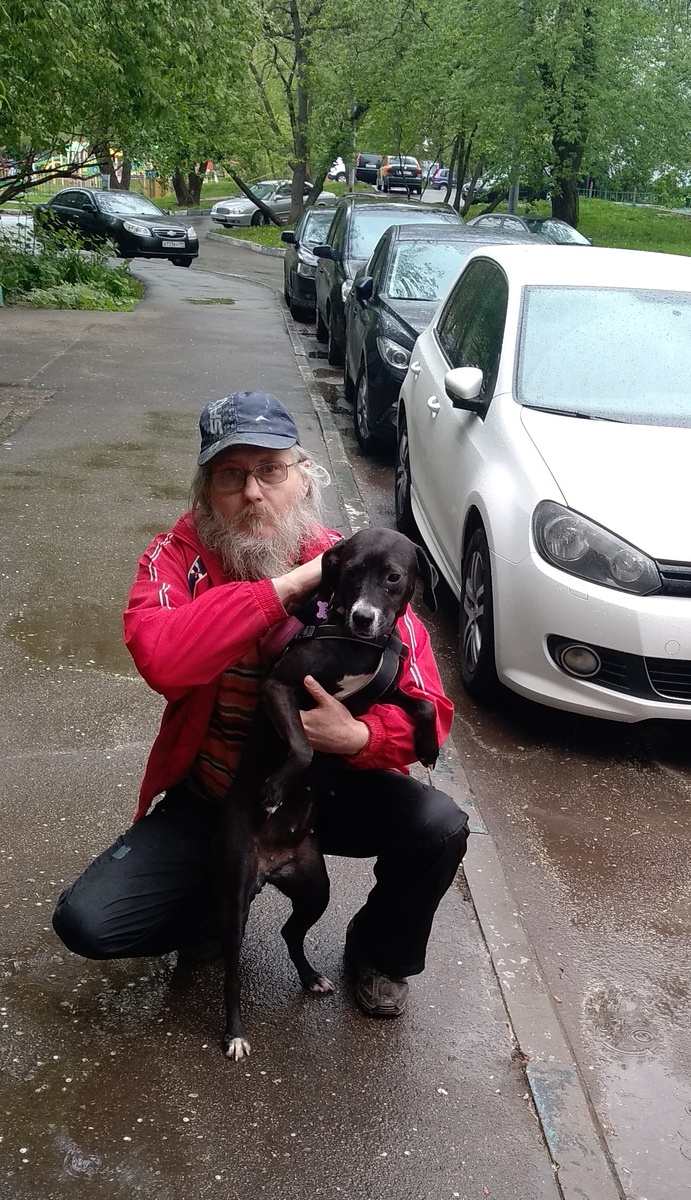 Собака и её человек. 