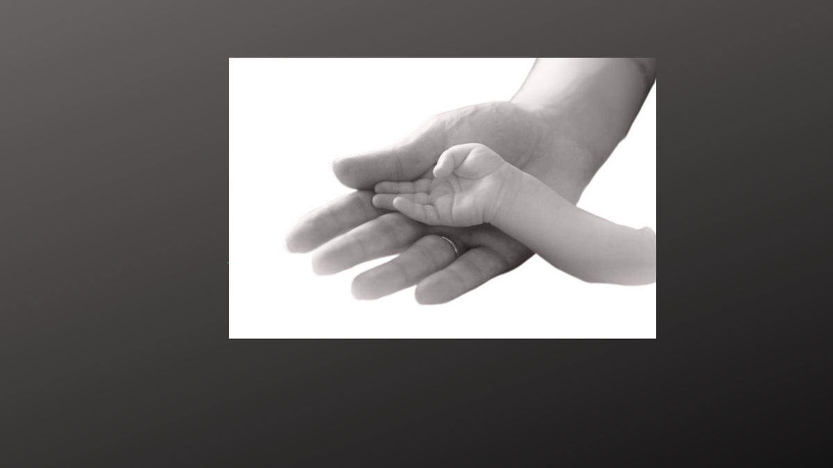 Коллаж автора канала